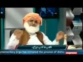 Molana fazlur rehman deisel funny parody media azaad hai 6th september 2014