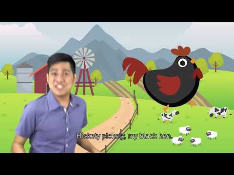 HICKETY PICKETY MY BLACK HEN