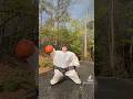 WHO YOU PICKING? #hoops #lebronjames #sus #10footgoal #funny #sumo #streetball #basketball
