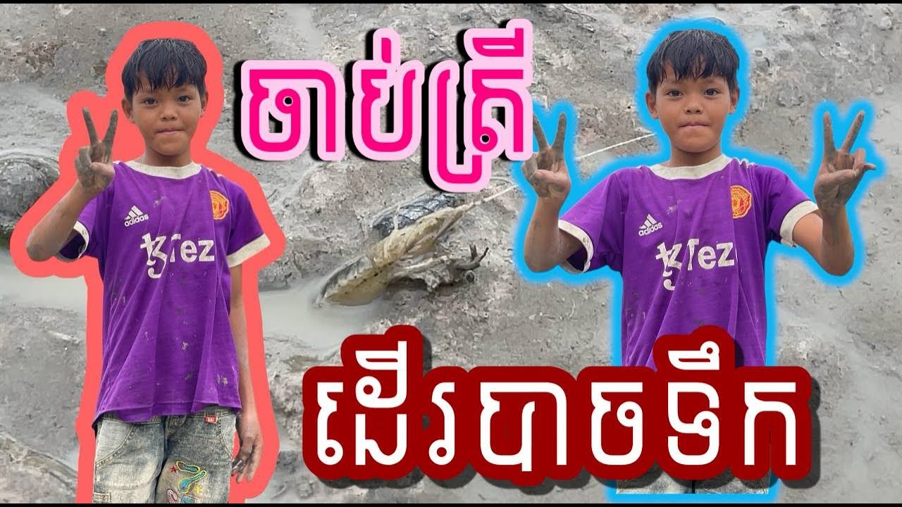 地面で魚を捕まえる 在地上捕鱼 Secret Catching Fish at the Rice field Bass Fishing ...