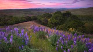 Watch Hayley Westenra Let Me Lie video