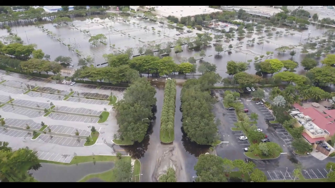 Aerial tour Sawgrass Mills Outlet Mall, Stock Video