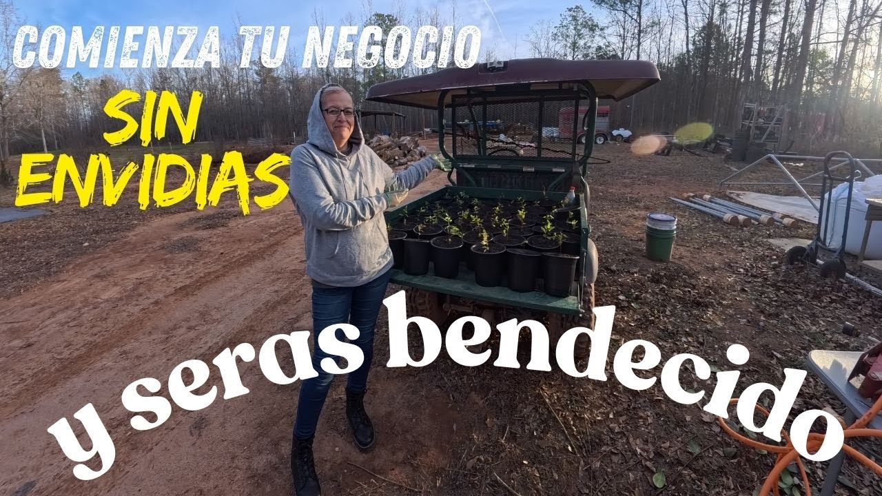 Comienza tu negocio sin envidias y dios te bendecirá