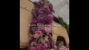 سورة العنكبوت || آيات قصيرة || القارئ عبد الرحمن مسعد