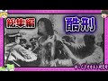 残酷過ぎる！人間の所業とは思えない拷問まとめ【 ゆっくり解説 拷問 総集編 】