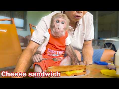 Bibi can't resist the deliciousness of Uncle Phong's grilled cheese sandwich!