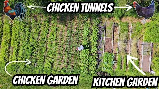 We Turned Our Front Yard Into a Full Homestead (On Just 1/4 Acre!)