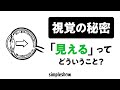 視覚の秘密 - 「見える」ってどういうこと?