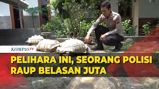 Seorang Polisi di Klaten Bisa Dapat Jutaan dari Sambilan Ini 2