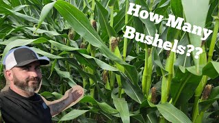 Crops May Actually Make It To Harvest- 100 Years of Horsepower Preview