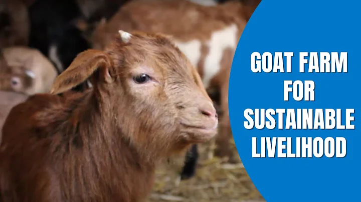 Goat farm for sustainable livelihood in Kosovo