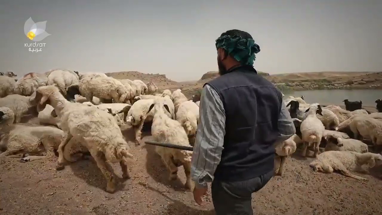 عايد دعدوش الاربعيني من اهالي قضاء مندلي بمحافظة ديالى