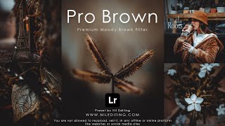 How to Edit Professional Photography | Lightroom Dark Brown Presets DNG & XMP Free Download screenshot 3