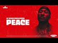 Dj Seven Worldwide - Peace (Amapiano Vibes) #3