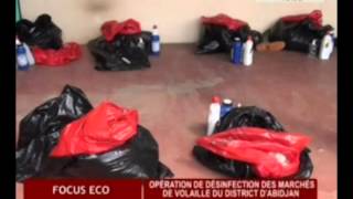 Business 24  / Focus Eco - Operation de desinfection des marches de volaille du district d'Abidjan