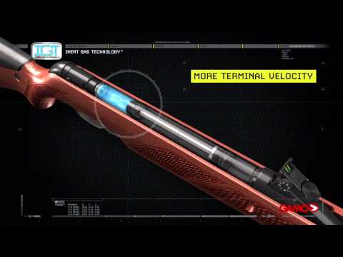 Video: Pușca Gamo Hunter 1250: recenzie, specificații și fotografii