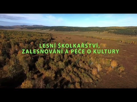 Video: Můj Majetek - školka Rostlin, Krajinářský úřad V Pavlovsku