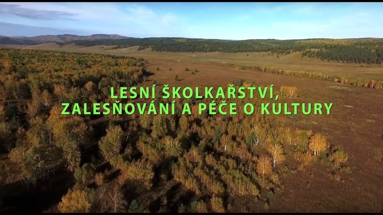 3 4 Školky CZ2 YouTube 1080p HD