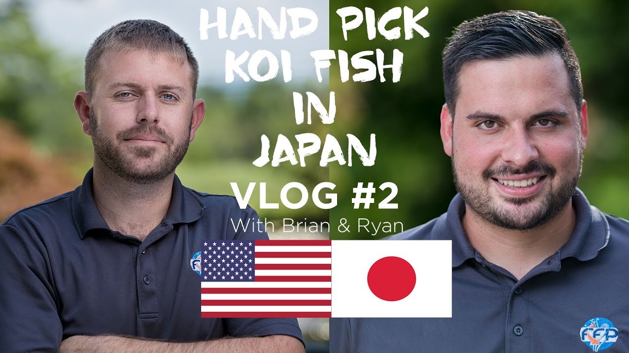 Travel to Japan to buy Koi Fish - United Airlines Polaris is AWESOME - VLOG #2