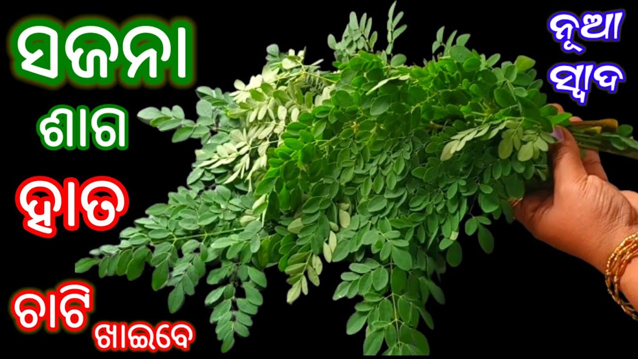 ସଜନା ଶାଗ ଏମିତି ରାନ୍ଧିଲେ 🤔 ହାତ ଚାଟି ଖାଇବେ ‼️ Sajana Saga Tarkari Recipe Odia | Sajana Saga Recipe