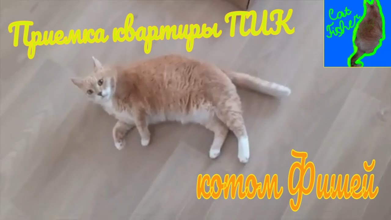 Приемка квартиры ПИК / Фиша Кисулькин и другие - YouTube