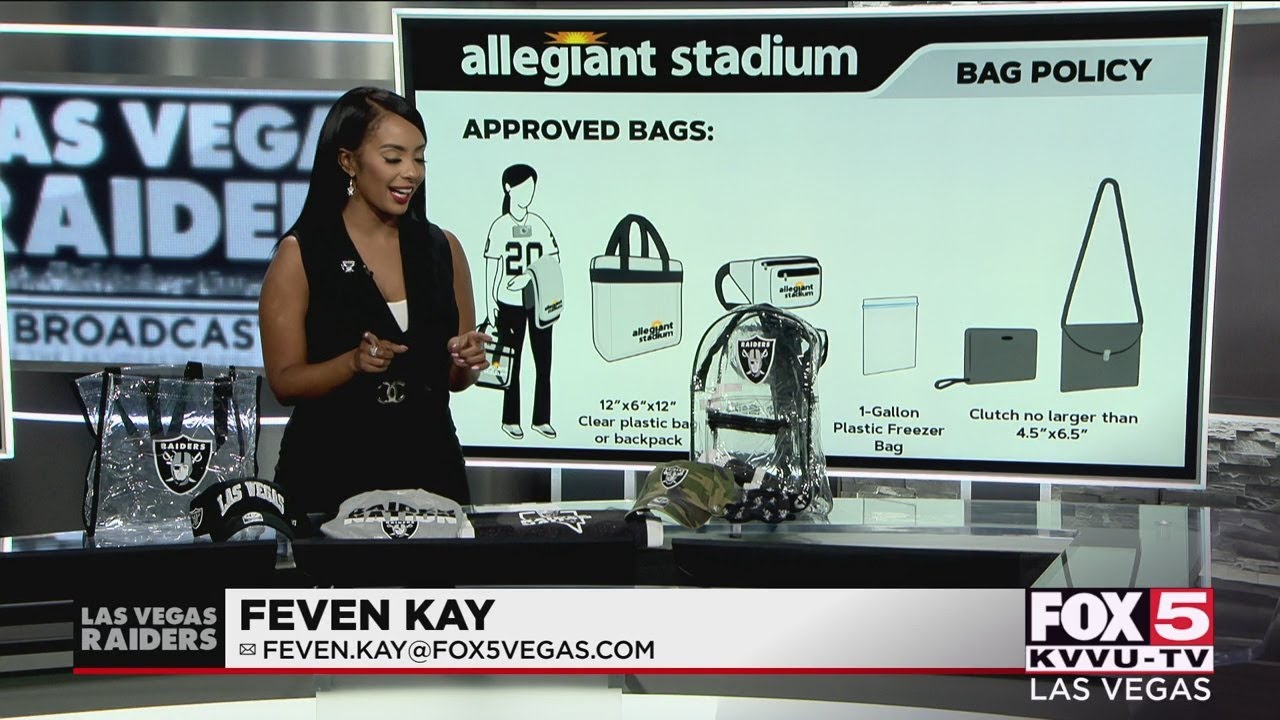 LV Stadium Clear Bag