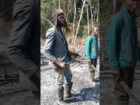 camera iphone 8 plus apk État d'avancement