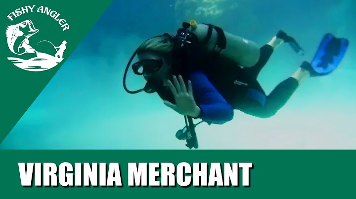 Virginia Merchant. Diving Bermuda Shipwrecks.