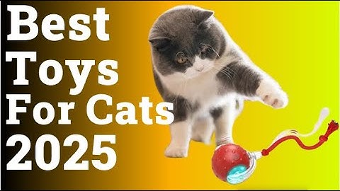 Best Toys For Cats | Top 5  Toys For Cats 2025