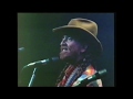 Angel flying too close to the ground - Willie Nelson