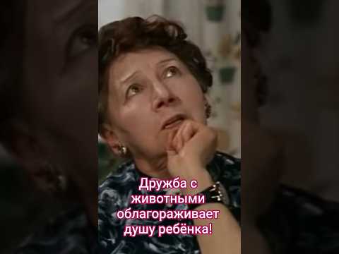 Дружба с животными облагораживает душу ребёнка! #shorts #кино #фильм #нашекино #вицин #зелёная #film