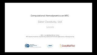 Computational Hemodynamics: From a notebook to HPC