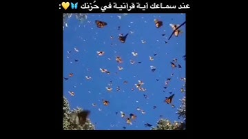 حالات واتس||القارئ/اسلام صبحي||سورة/ابراهيم||تصاميم قران||انستقرام||استوري||مقاطع قصيرة