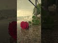 vibes viral  Songs - Only You (heartfeltlyrics)  #viralsong #Iviralsound #lyricsisart #foryou #fypシ゚