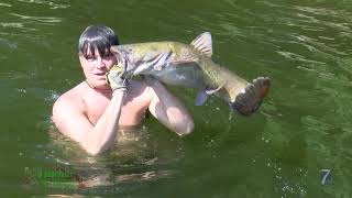 Absolutely Outdoors - Noodling for Catfish
