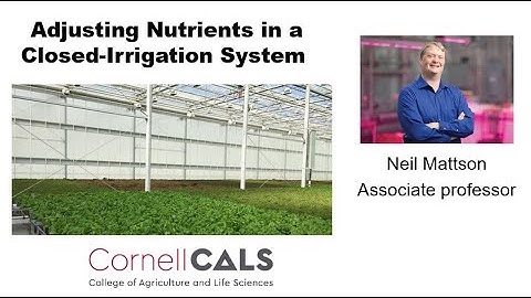 Adjusting Nutrients in a Closed-Irrigation System in Hydroponics