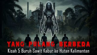 Download Lagu Kisah 5 Buruh Sawit Kabur ke Hutan Kalimantan, Yang Kembali Tak Lagi Lengkap MP3