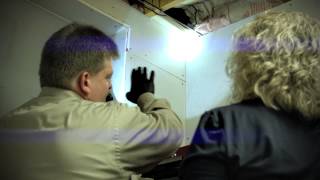 Reliable Pest Solutions - Protect
