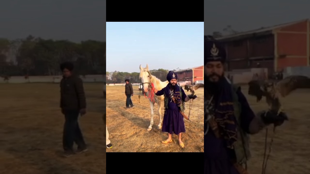 JANGI GHODA 🐎⚔️ 