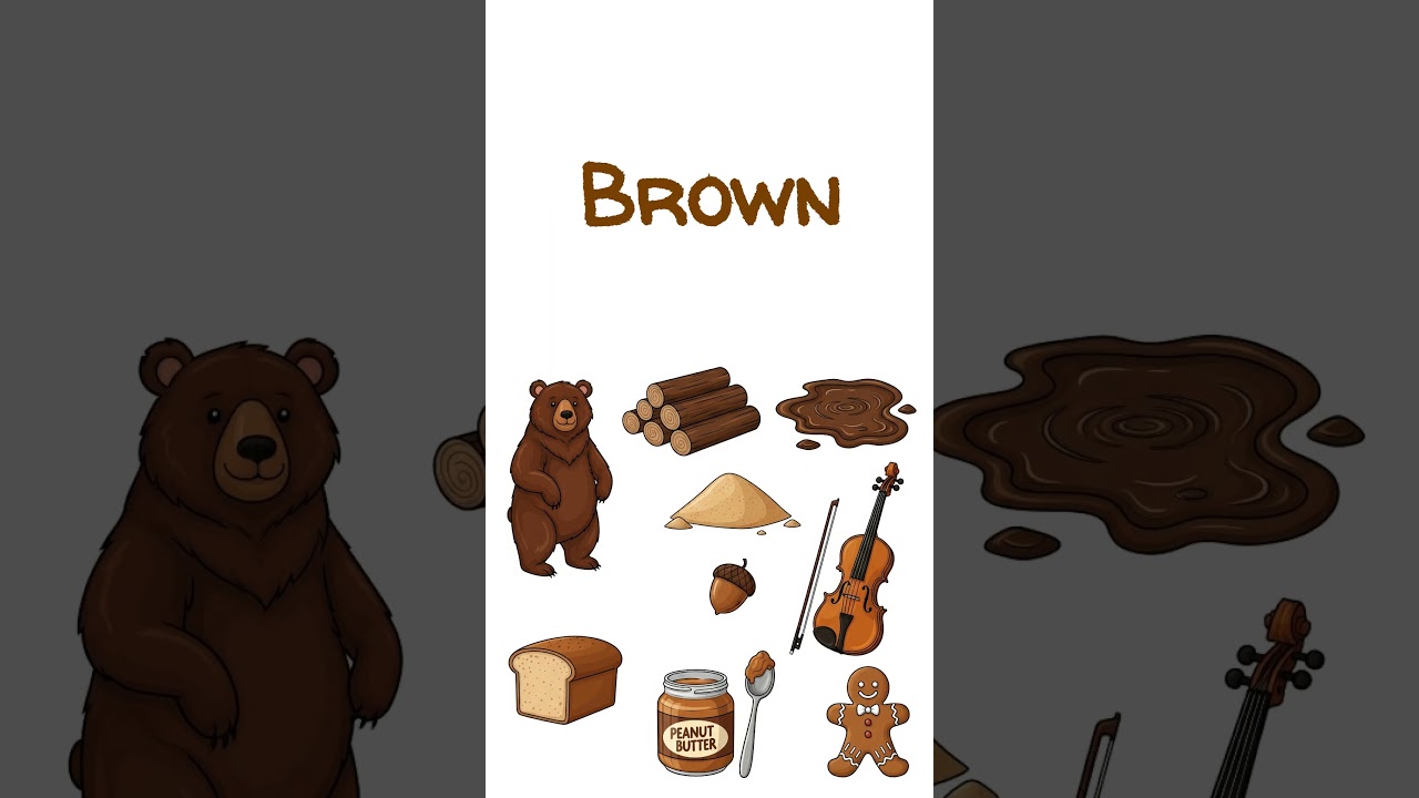 What Color Is It? | Educate Learners #educatelearners #educationalvideo #coloridentification