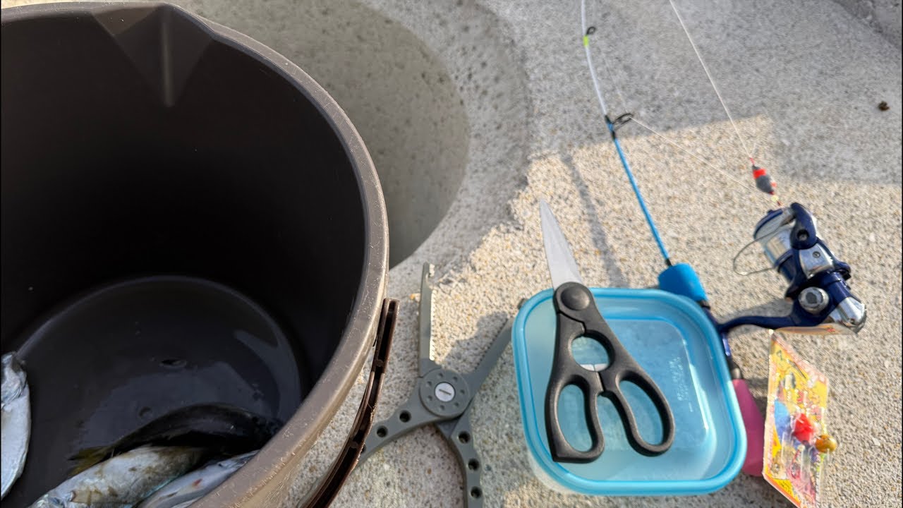 【穴釣り】リスナーさんのリクエストに答えて