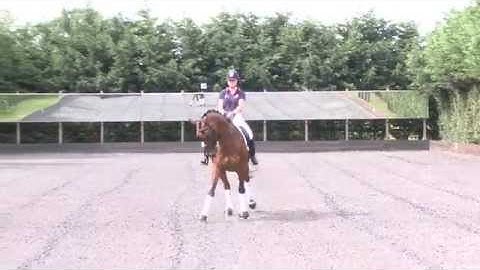 canter zig zag