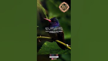 إنّ اللّٰه لا يظلم النّاس شيئاً - #سورة يونس #قرآن #عبدالباسط_عبدالصمد #quran #قران_كريم #quotes
