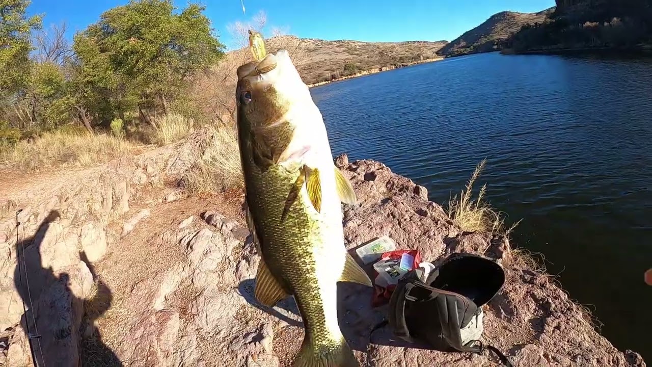 Mission Pena B Complete!! SwimBaitin’ Bass!