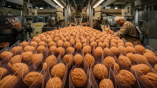 Inside Walnut Production: Advanced Farming and Manufacturing Technologies'