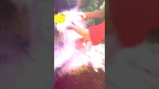 D Jay Nafis Birthday Celebration