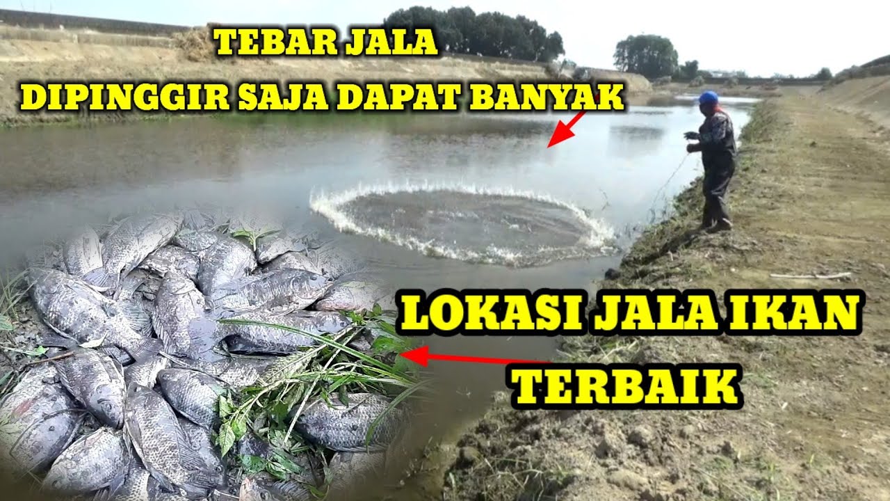 JALA IKAN DI SUNGAI BESAR JALA IKAN NILA TERBAIK BEST NET FISHING - YouTube