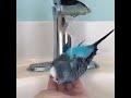 اصبحنا واصبح الملك الله ولا اي لاه إلاها إلا الله