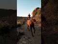 Day 21 of 31 | Last SoCal Mountain Run | 8 Miles, 1000 ft Gain