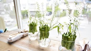 飾って食べる 積んできたナズナをアレンジ 食卓を彩る緑 レシピ フラレピ 花のレシピ動画 花のあるhappyな生活をご提案